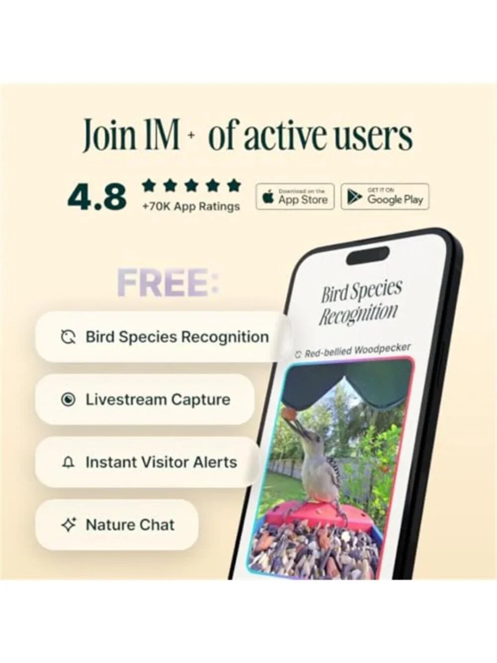 Solar Smart Bird Feeder with Camera - AI Bird Species Identification, 5MP Photos